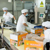 Liji Grain Products Restaurant Wholesale Chow Mein Healthy Instant Fried Noodles