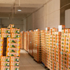 China Factory Non Fried Free Samples 5Kg Nutritious Healthy Low Fat Tasty Noodles