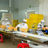 Wholesale Instant Organic Bulk Dried Fine Egg Shrimp Noodle