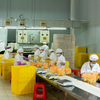Chinese Manufacturing Wholesale Cheap Price Dried Instant Food Wheat Noodles